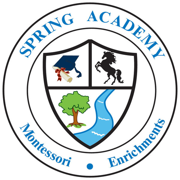 Spring Academy Logo