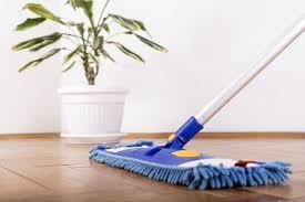 Cleanliness Logo