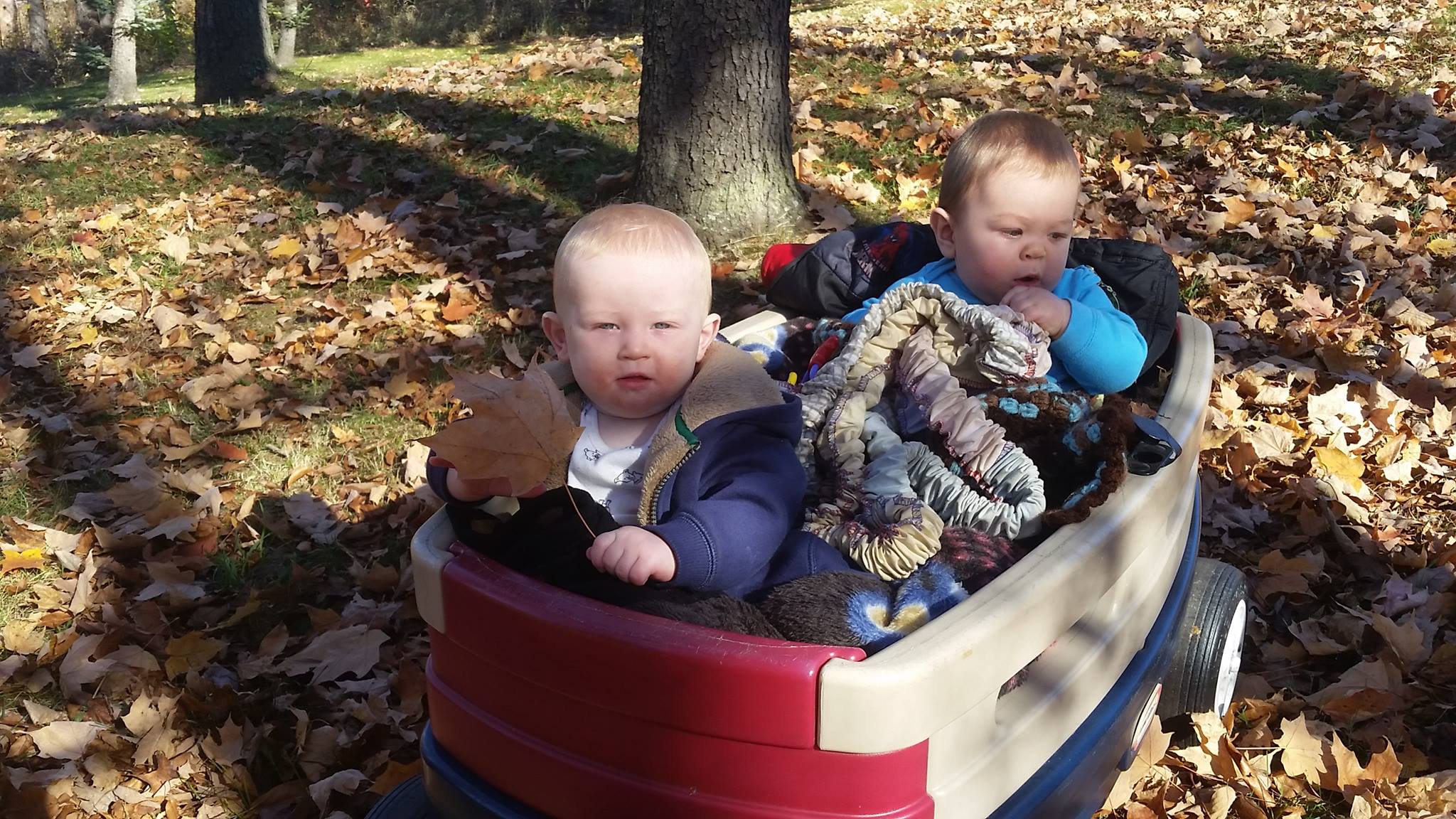 Portage Play and Learn School's Photo