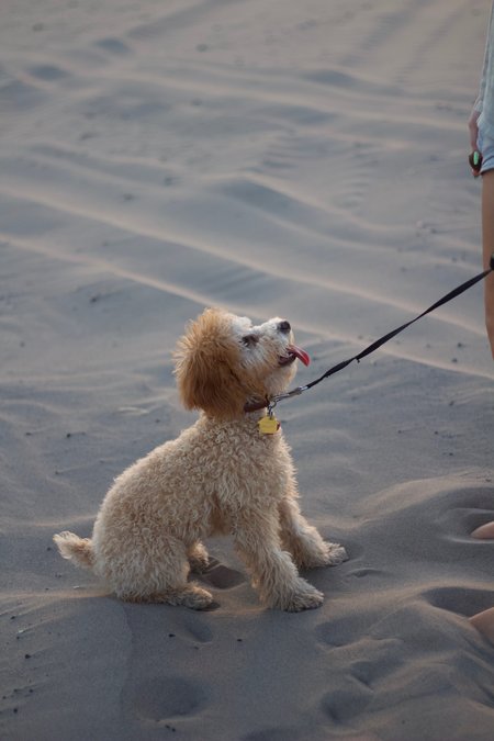 A Helping Hand's Photo