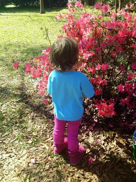 Montessori Infant Toddler House's Photo