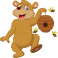 Honey Bear Cub Care