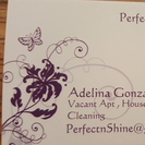 Perfect N Shine Cleaning