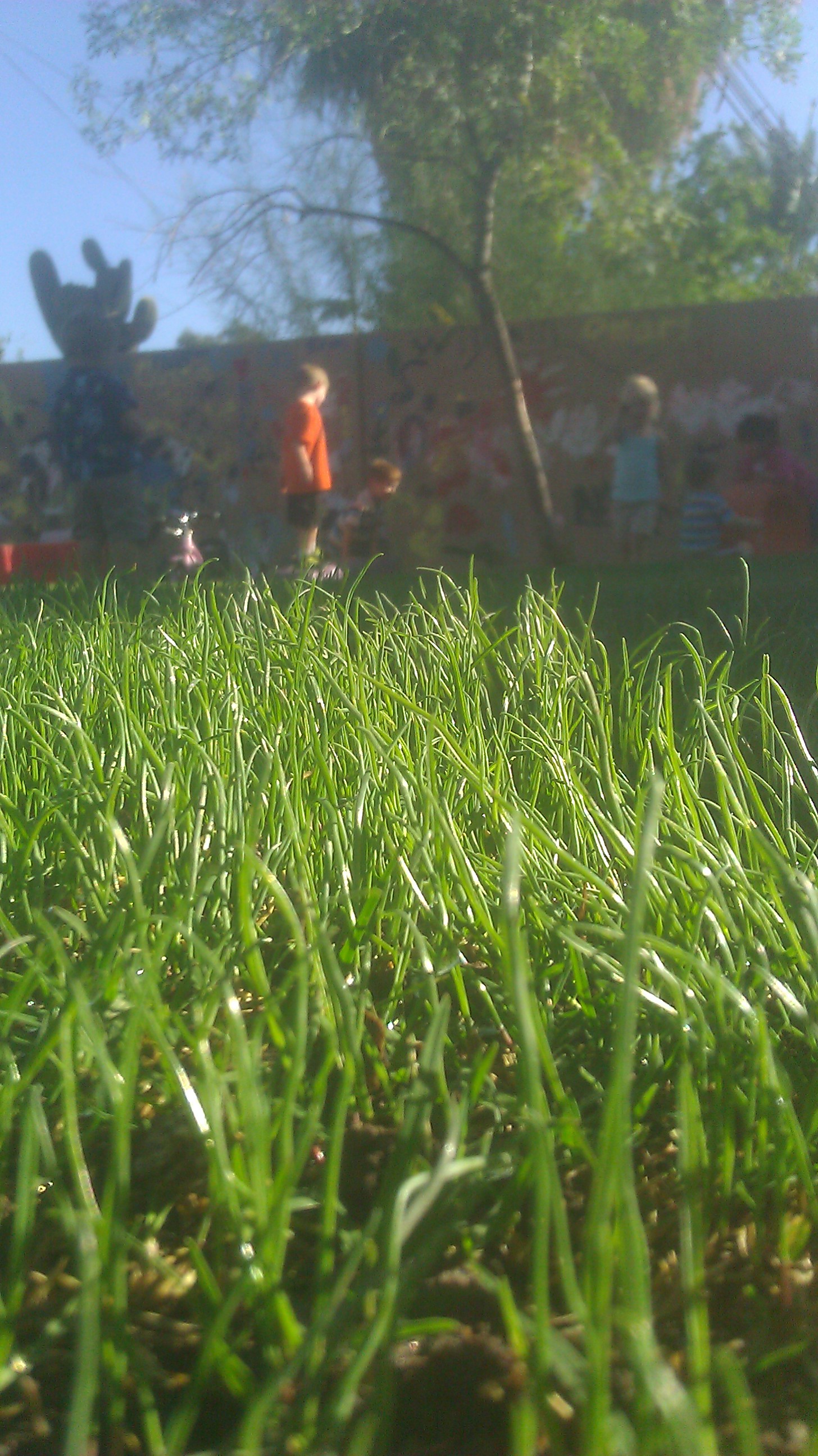 Desert Shadows Montessori, Inc's Photo