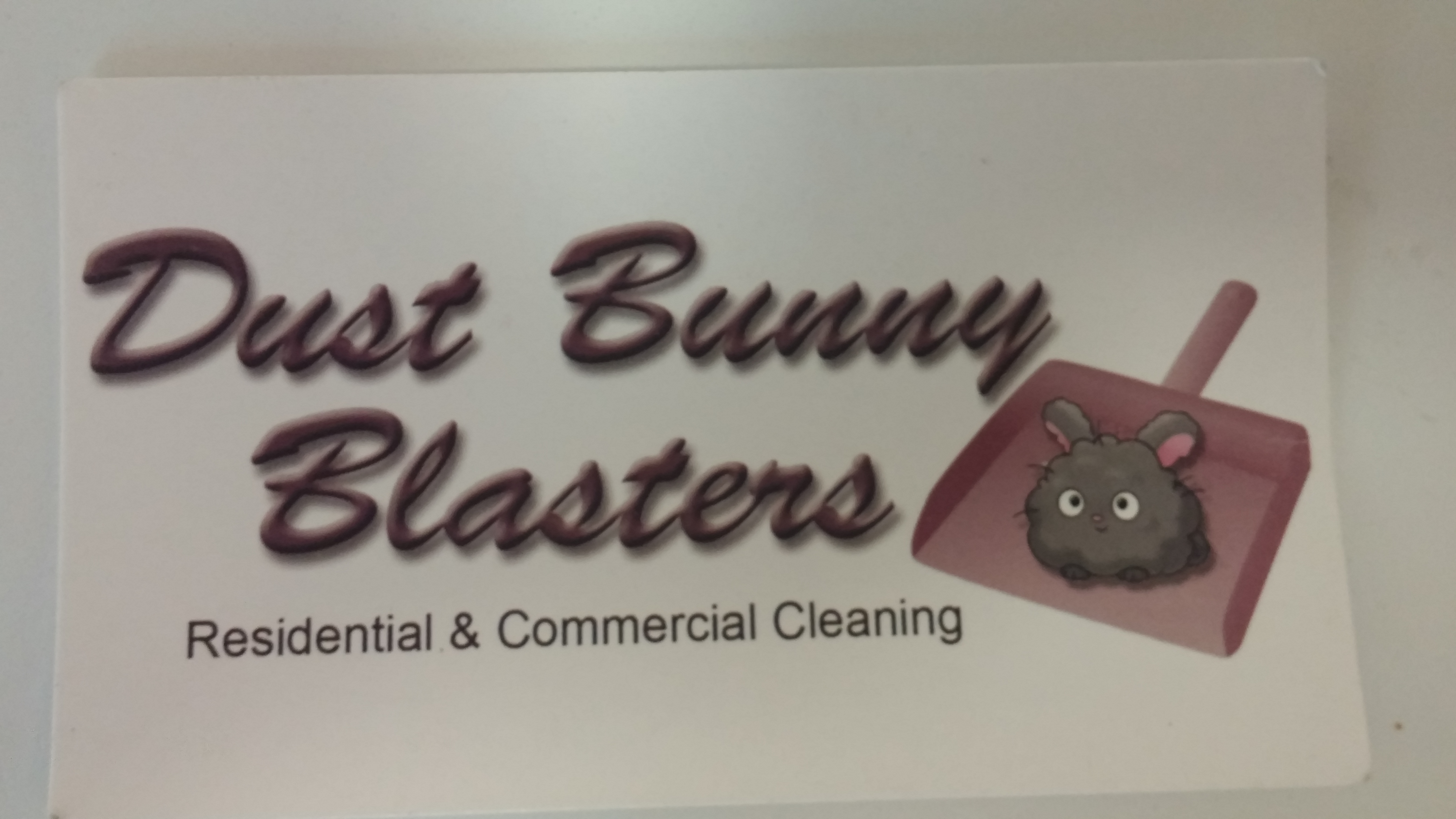 Dust Bunny Blasters's Photo