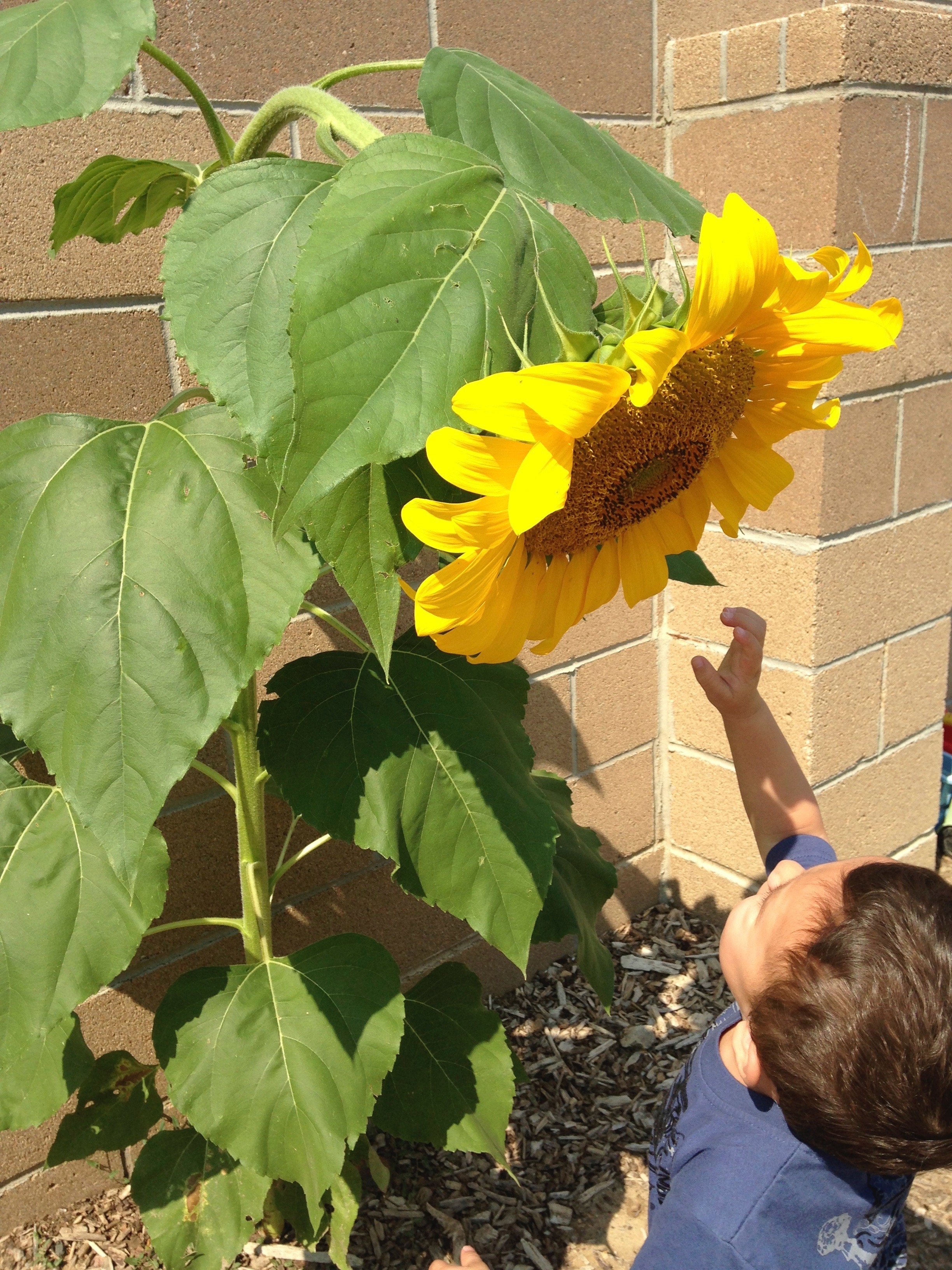 Laura's Child Care (Day Care)'s Photo