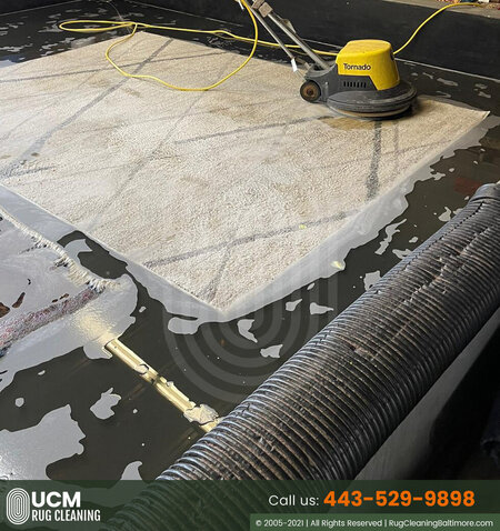 UCM Rug Cleaning