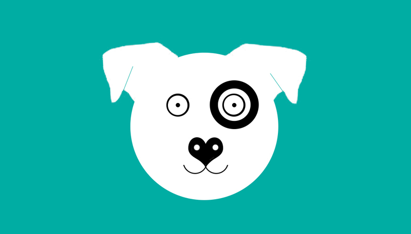 BarksTown Pet Services's Photo