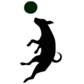 Canine Companion's Photo
