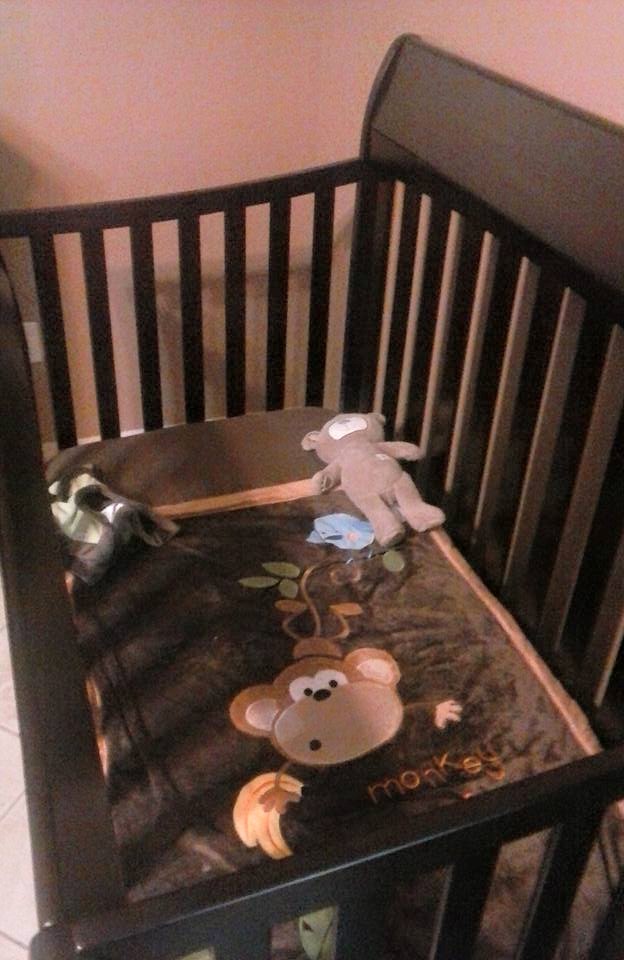 Little Steps Preschool's Photo