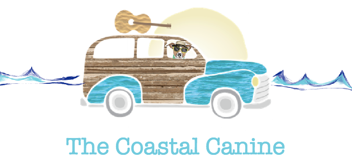 The Coastal Canine's Photo