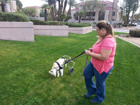 Suzi's TLC Pet Sitting's Photo
