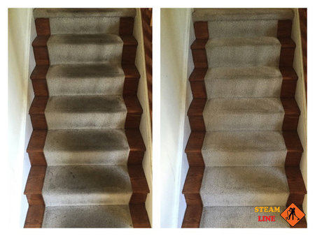 SteamLine Carpet Cleaning Restoration's Photo