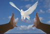 Dwelling Healthcare Services llc's Photo