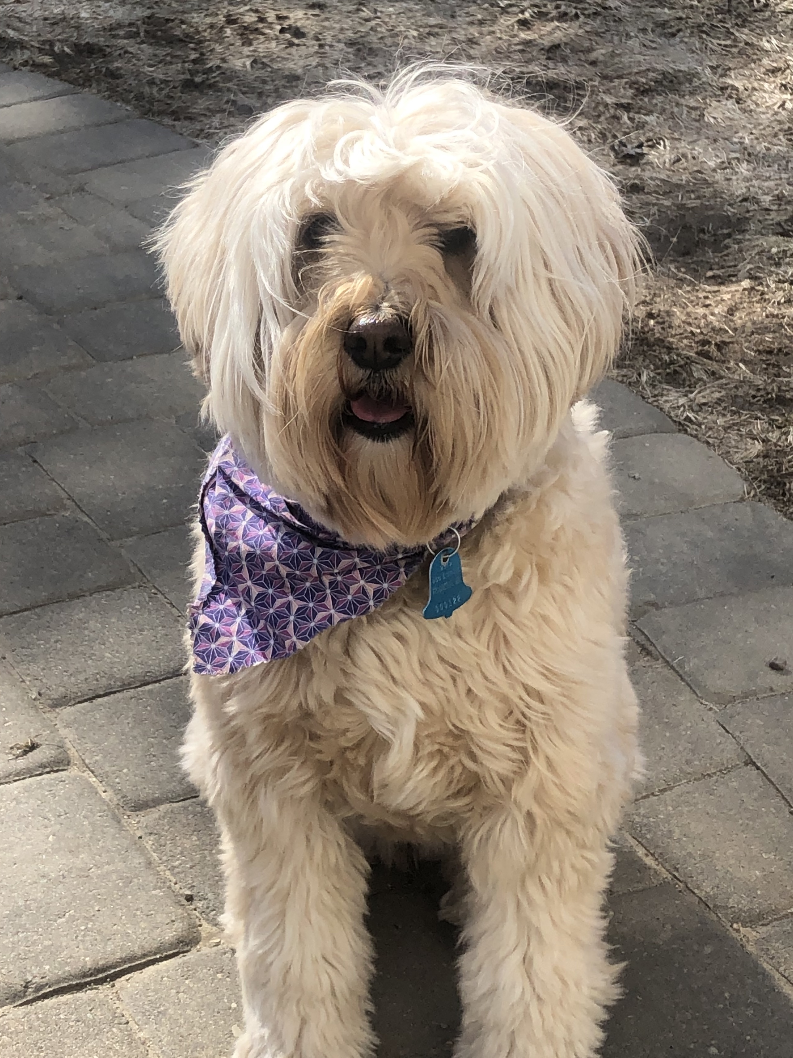 Wiggle Waggerz's Photo