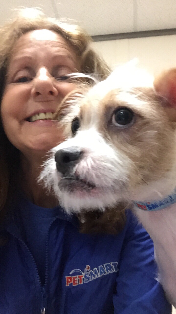 Ginger and Pickles Pet Grooming's Photo