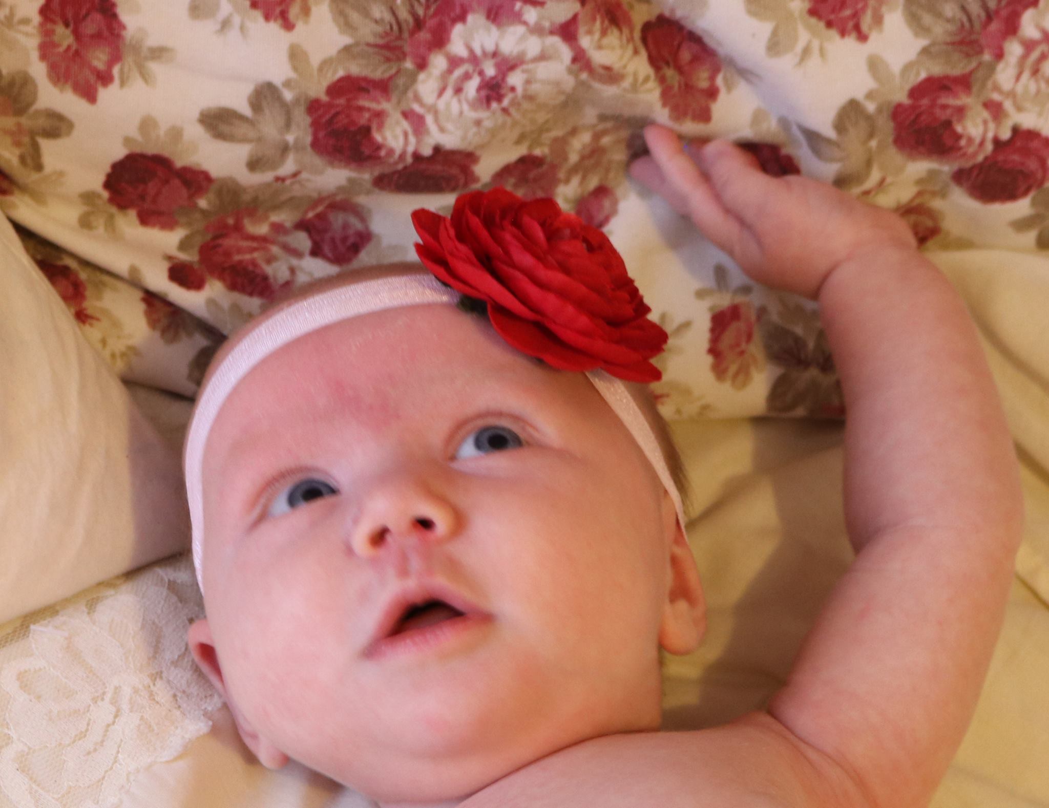 Hazel And Friends's Photo