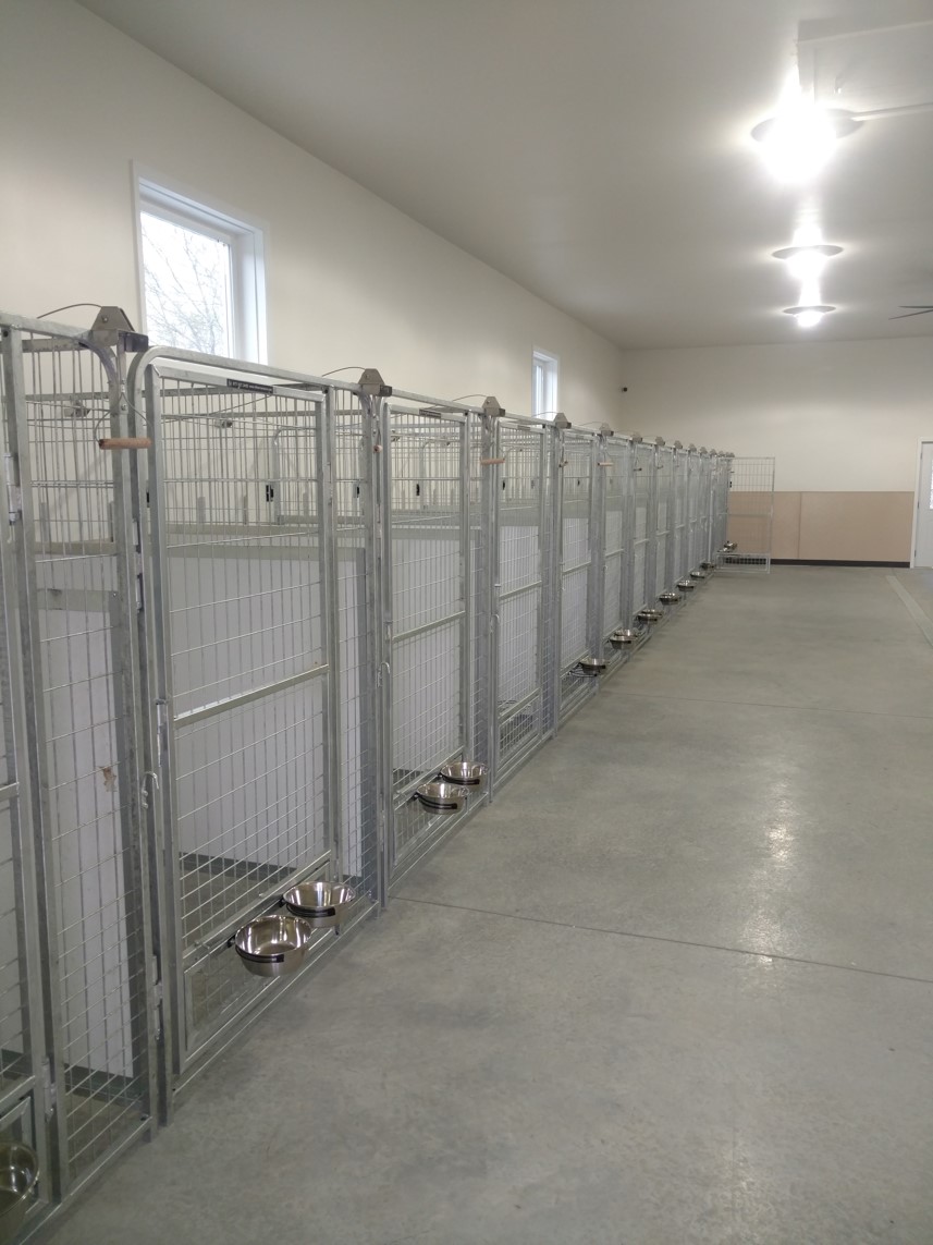 Daisey's Doggie Retreat's Photo