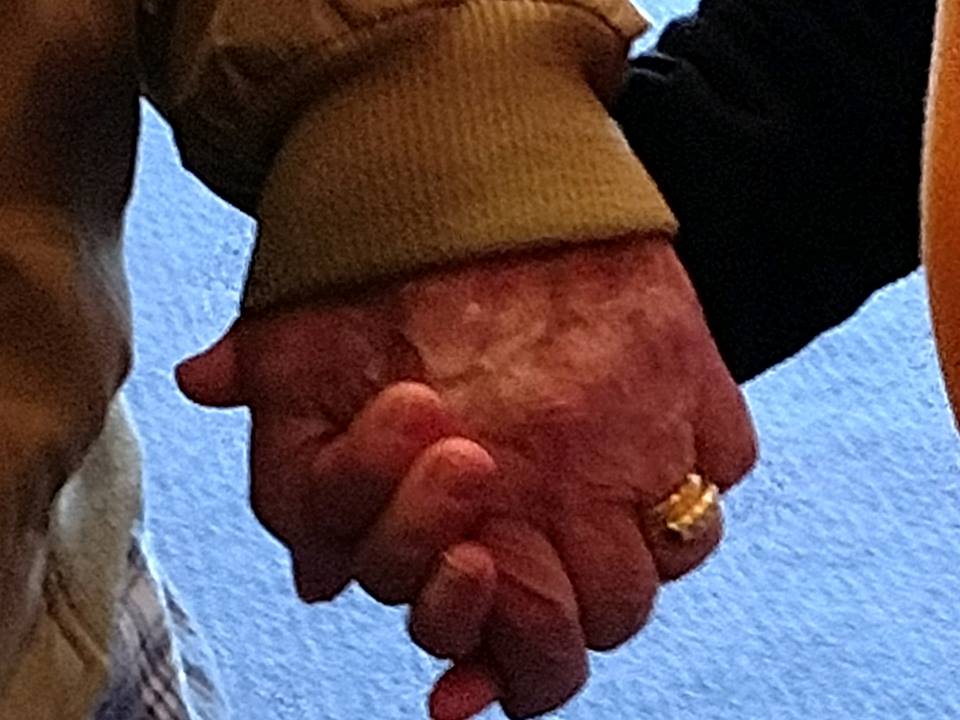 Companion Home Care Inc's Photo