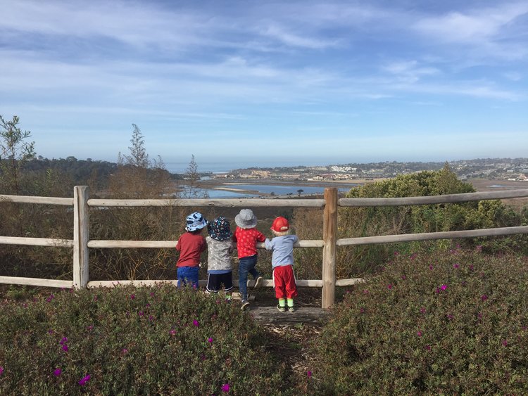 Community Adventures Preschool's Photo