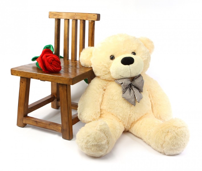 Cozy Bear Child Care Home, Llc Logo