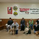 BonaFide Dog Academy LLC