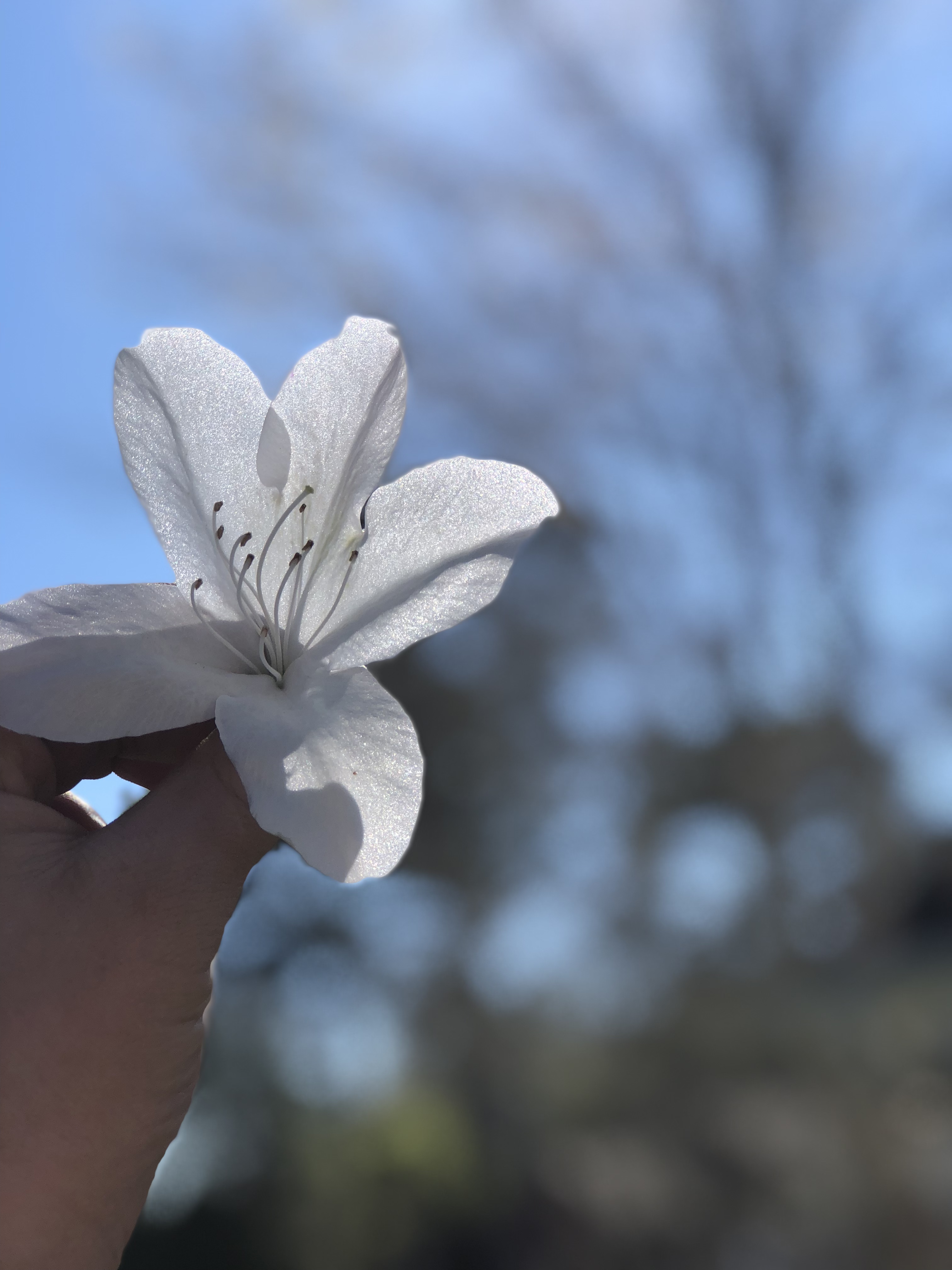 Marbee cleaning service's Photo