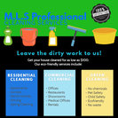 M.L.S. Professional Cleaning Services