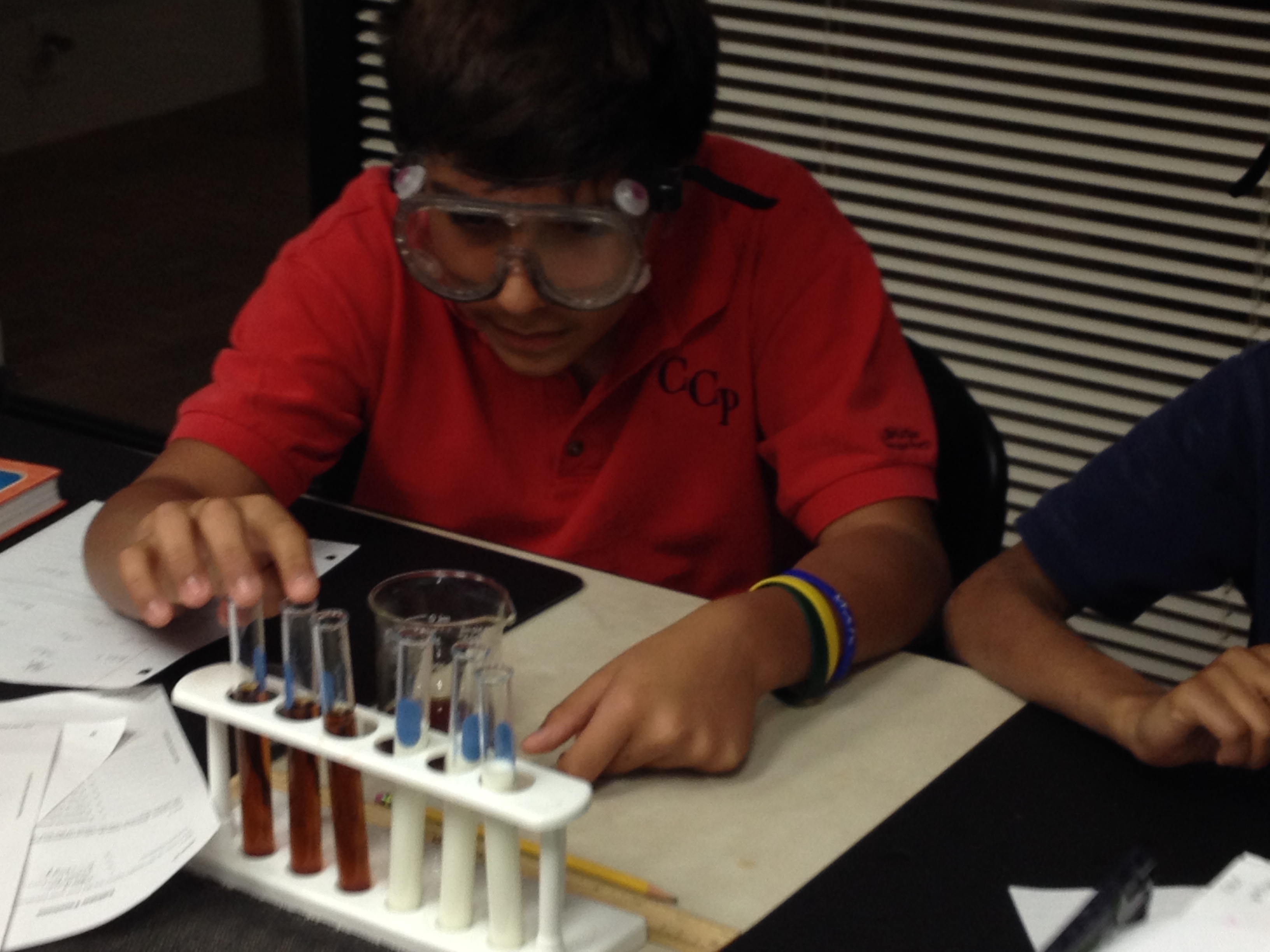 Christian Cottage Prep's Photo