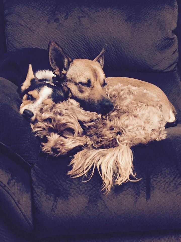 Playdate's Photo