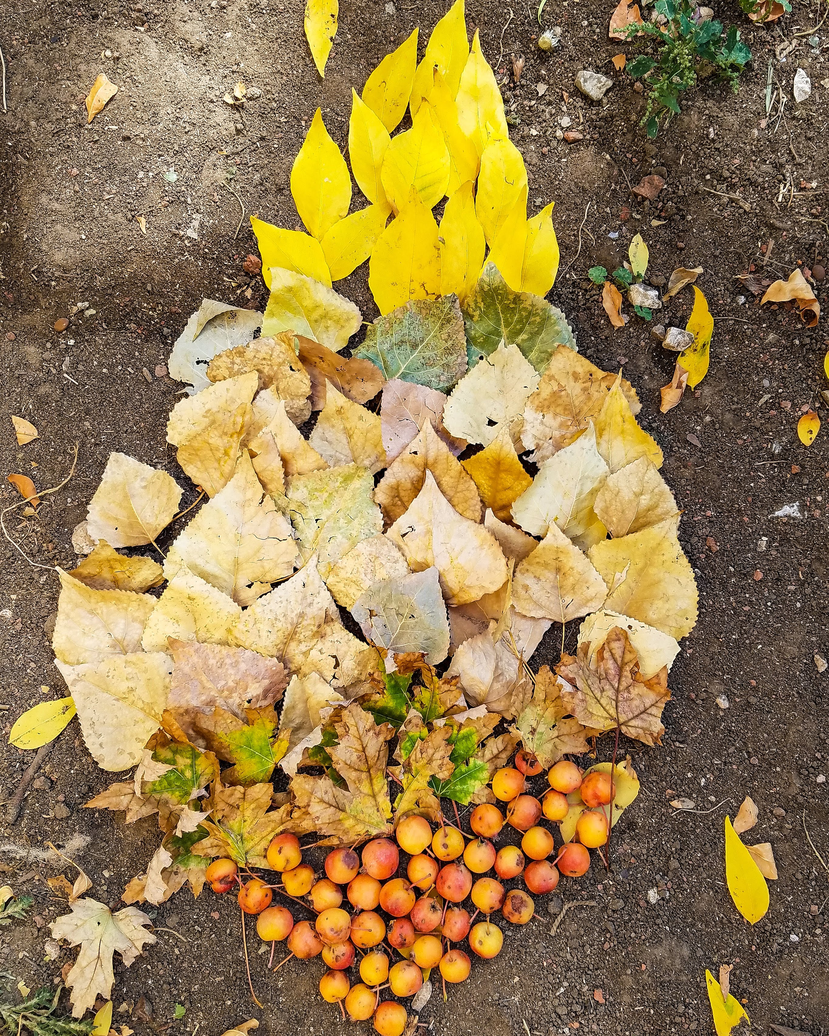 Wilderness Babies's Photo