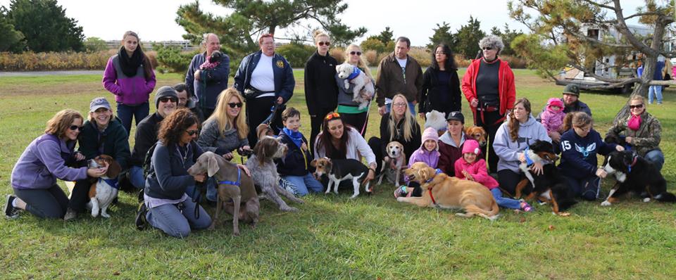 Before ~N~ After Dog Services's Photo