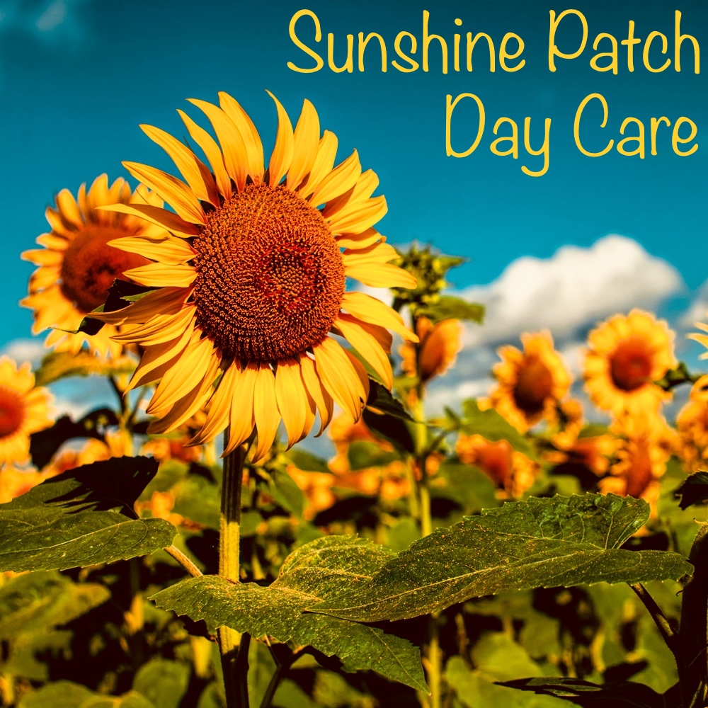 Sunshine Patch Logo