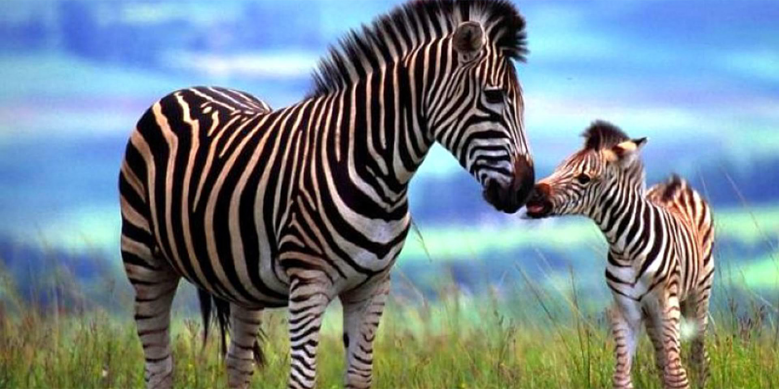 Inspire Early Childhood's Photo