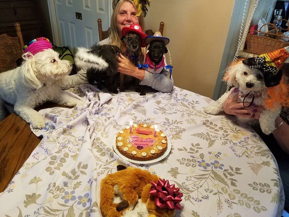 Puppy Luv Pet Services's Photo