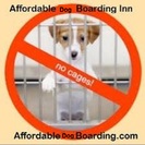 Affordable Dog Boarding Inn Cageless, Free Pet Taxi