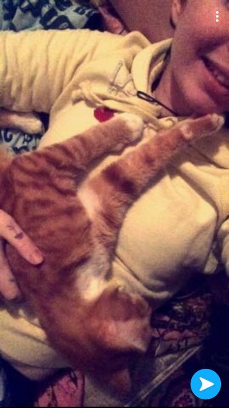 Paw- All things Pet Care's Photo