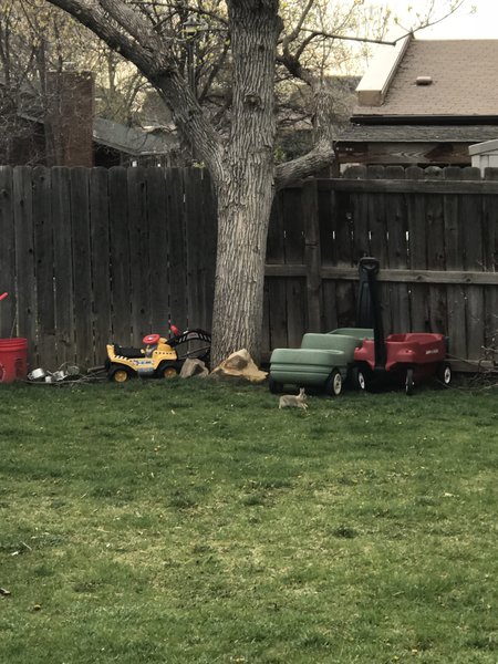 Centaur Village Childcare