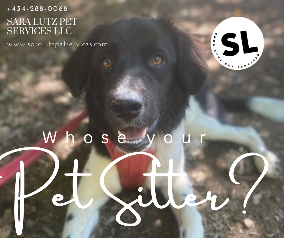 Sara Lutz Pet Services LLC's Photo