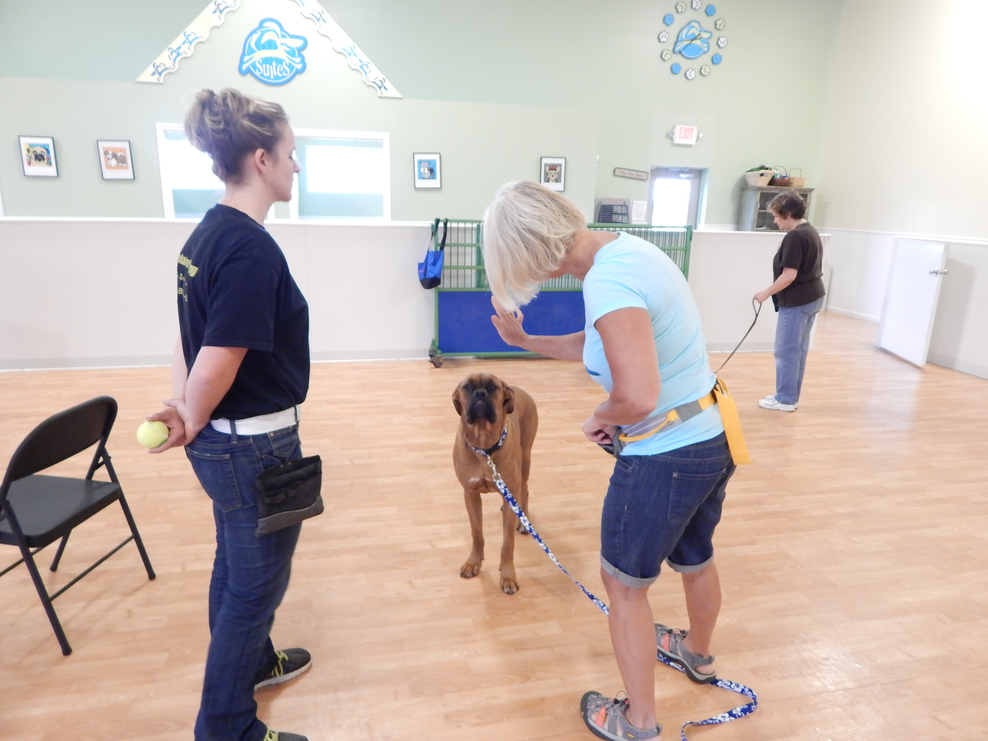 Gone To The Dogs's Photo