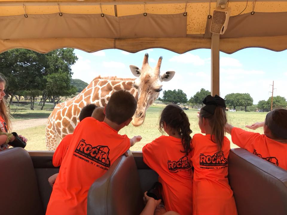 The Rock of Sports's Photo