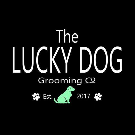 Lucky dogs shop canine grooming