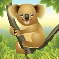 Koala Kids Daycare
