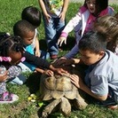 Teacher Kay's Alphapals Preschool