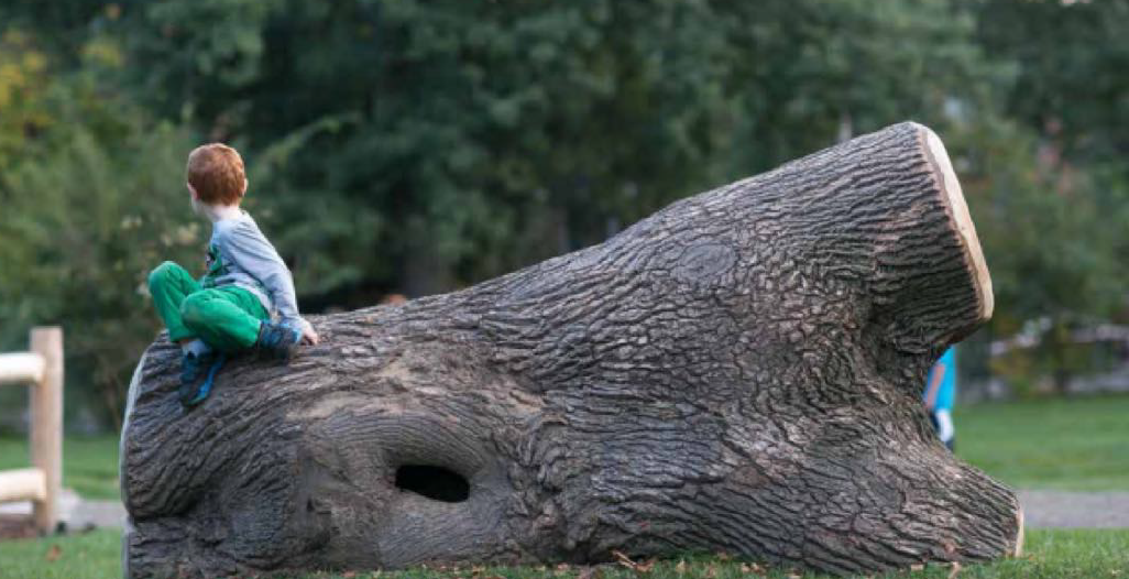 KLA Schools of Sweetwater's Photo