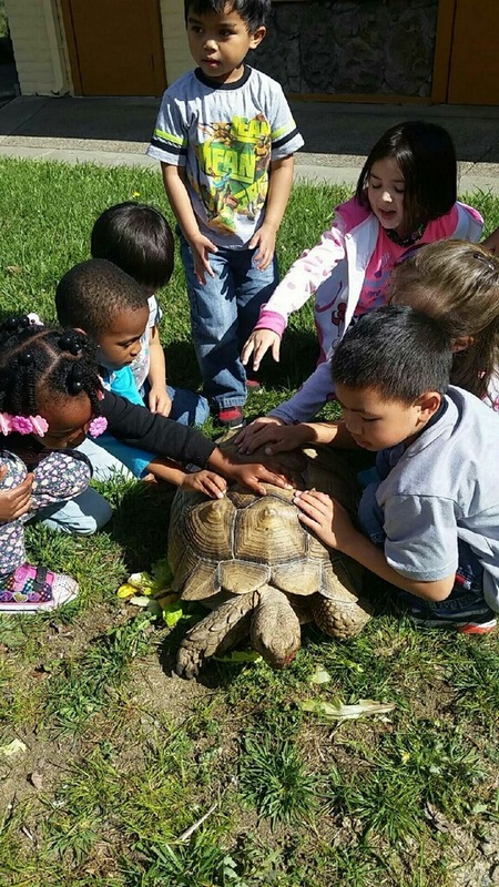Teacher Kay's Alphapals Preschool