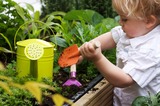 Eco Bebe Academy