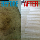 Evergreen Carpet Care