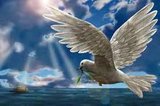 Providence Home Care & Convalescent Ministries Inc.