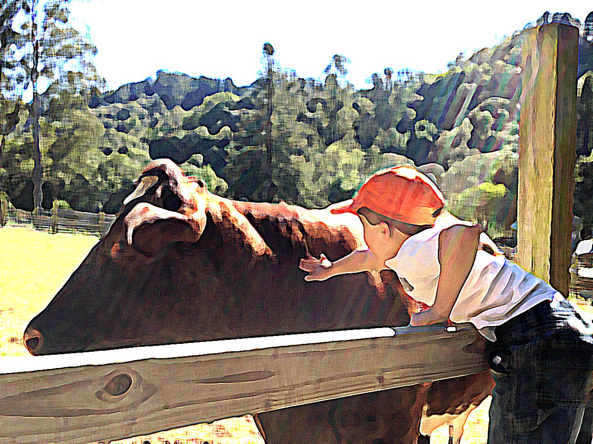 Fox & Bear DayCare's Photo